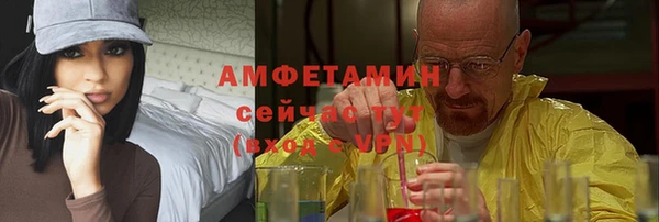 СК Вязьма