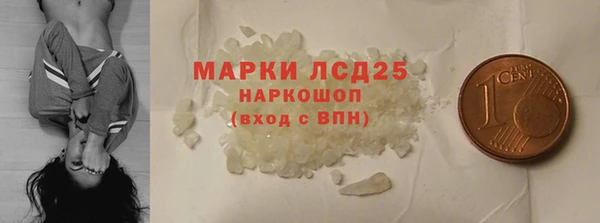 СК Вязьма