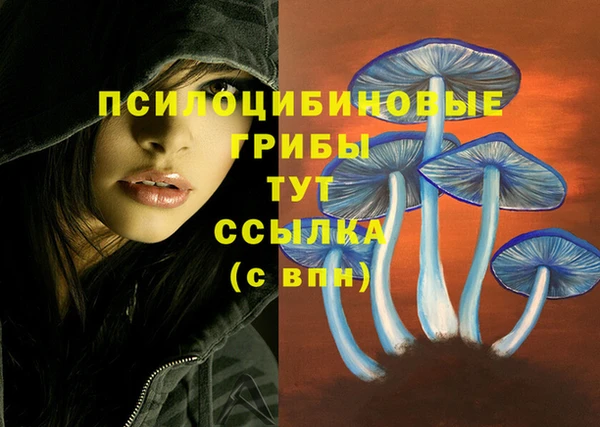 таблы Вязники