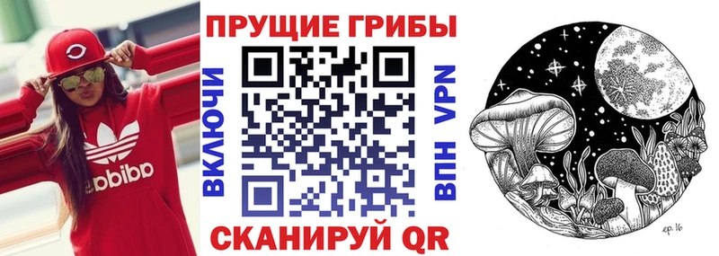 Купить  Клинцы  Галлюциногенные грибы Magic Shrooms 